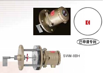 ʽ-(q)(dng)ʽ_(ki)P(gun)